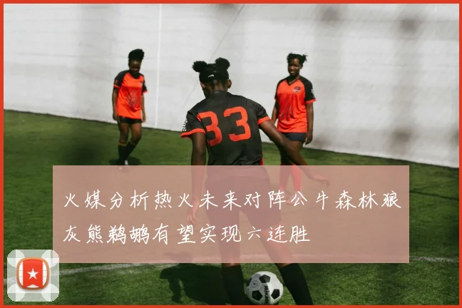 火媒分析热火未来对阵公牛森林狼灰熊鹈鹕有望实现六连胜